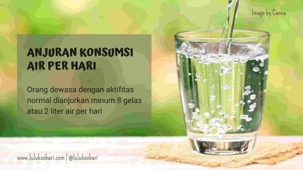 Pentingnya Hidrasi Dan Cara Mencukupi Kebutuhan Air Harian